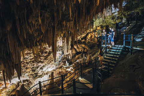 Ngilgi Cave Semi-guided Tour - Tourism Search 0