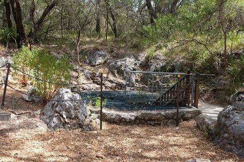 Ngilgi Cave Semi-guided Tour - Tourism Search 7