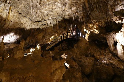 Ngilgi Cave Semi-guided Tour - Tourism Search 5