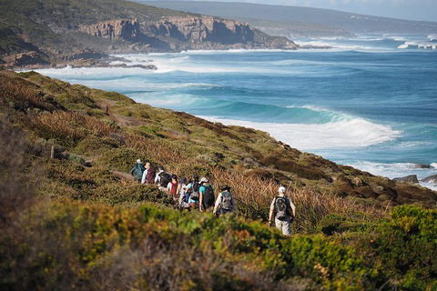 8-Day Cape To Cape Track Guided Walking Tour From Perth - Tourism Search 0