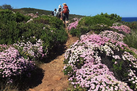 8-Day Cape To Cape Track Guided Walking Tour From Perth - Tourism Search 4