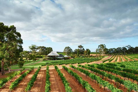Vasse Felix Winery Tour And Tasting - Tourism Search 0