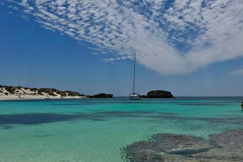 Rottnest Island Sailing Day Trip From Fremantle - Tourism Search 6