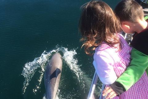 Rottnest Island Sailing Day Trip From Fremantle - Tourism Search 7