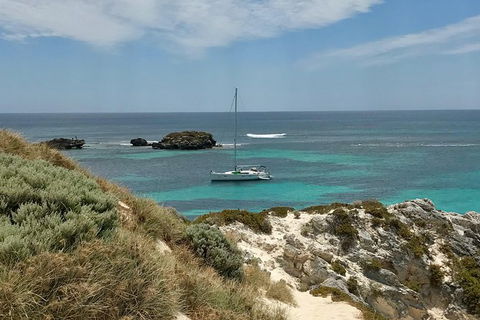 Rottnest Island Sailing Day Trip From Fremantle - Tourism Search 4