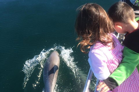 Sunset Sail Cruise Out Of Fremantle - Tourism Search 1
