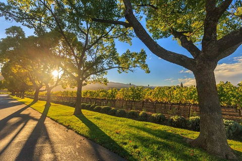VIP Swan Valley Wine Tour - Premium Small Group Wine & Gourmet Experience - Tourism Search 1