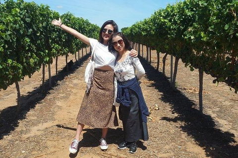 VIP Swan Valley Wine Tour - Premium Small Group Wine & Gourmet Experience - Tourism Search 3