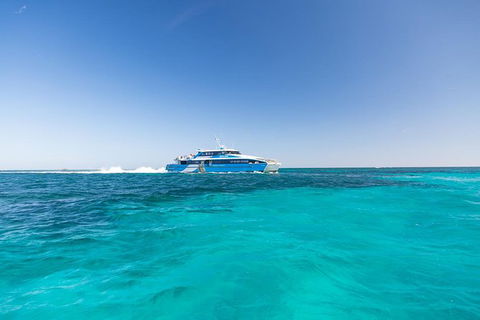Rottnest Island Skydive Including Round Trip Ferry From Fremantle - Tourism Search 8