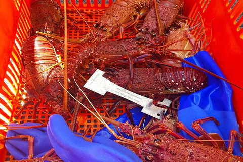 Rottnest Island Wild Seafood Package With Round Trip Ferry From Fremantle - Tourism Search 6