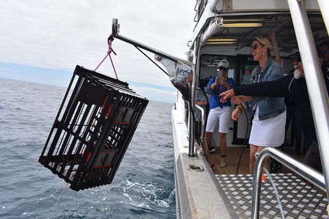 Rottnest Island Wild Seafood Package With Round Trip Ferry From Fremantle - Tourism Search 5