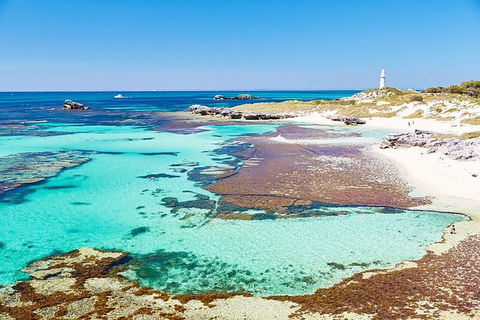 Rottnest Island Bike, Snorkel & Ferry Package From Fremantle - Tourism Search 1