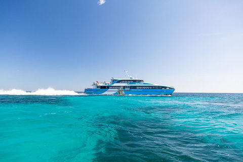 Rottnest Island Bike, Snorkel & Ferry Package From Fremantle - Tourism Search 5