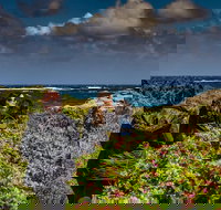 Guided Walks on the Cape to Cape - Wilyabrup Cliffs - Tourism Search