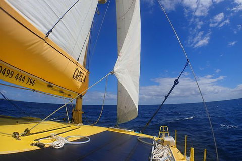 Carnac Island Half Day Sail - Tourism Search 5
