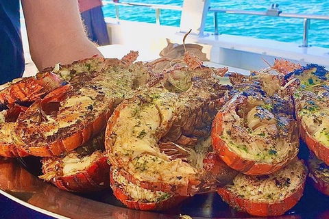 Rottnest Island Day Tour With Wild Seafood Banquet Cruise - Tourism Search 8