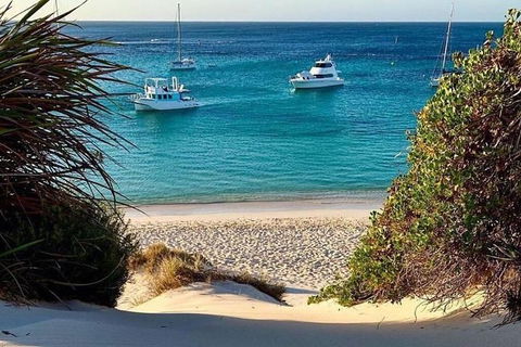 Rottnest Island Day Tour With Wild Seafood Banquet Cruise - Tourism Search 6