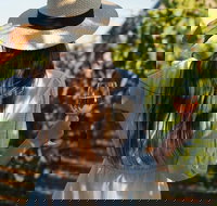 7 Hour Full Day Tour Morning Tea Chocolate Olives 3 Wineries  Lunch - Tourism Search