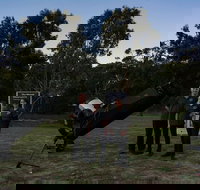 Dusk to Dawn Astronomy Margaret River - Tourism Search