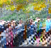 Half Day Gourmet Wine Tour - Tourism Search