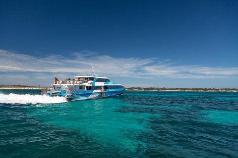 Rottnest Island Wild Seafood Package From Perth With Transfer - Tourism Search 1