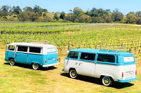 VW Kombi Wine Tour In The Swan Valley - Tourism Search 6