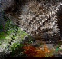 Porongurup Nature  History Eco Tour - Tourism Search