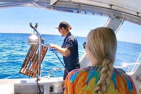 Rottnest Island 5-Course Deluxe Seafood Banquet Cruise - Tourism Search 20