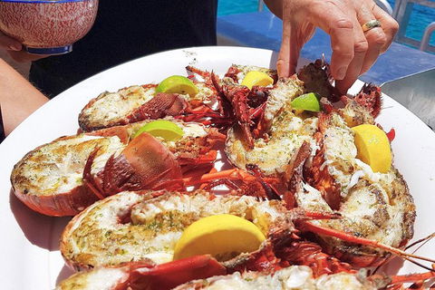 Rottnest Island 5-Course Deluxe Seafood Banquet Cruise - Tourism Search 2