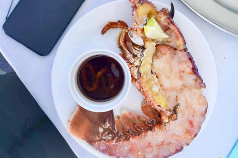 Rottnest Island 5-Course Deluxe Seafood Banquet Cruise - Tourism Search 4