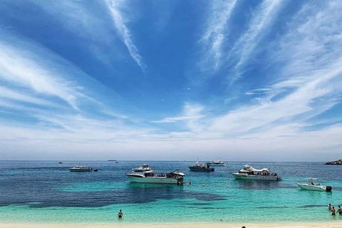 Rottnest Island 5-Course Deluxe Seafood Banquet Cruise - Tourism Search 7