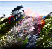 Guided Walks on the Cape to Cape - Redgate Beach to Boranup Forest - Tourism Search