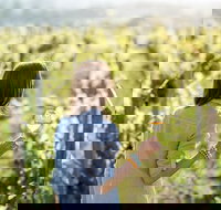 5 Hours Wineries Coffee Tasting Forest  Lunch at the Berry Farm - Tourism Search