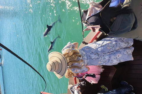 Pirate Ship Lunch Cruise (1.5hr) - Tourism Search 7