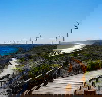 Torndirrup National Park and Bay Highlights - Tourism Search