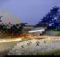 1 Day Private Phillip Island Tour VIP Charter up to 9 People - Tourism Search