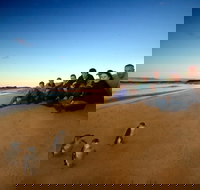 Phillip Island Ultimate Penguin Eco Tour or Skybox Experience - Tourism Search