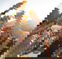 Ale Blazers Craft Beer Tour of the Surf Coast - Tourism Search