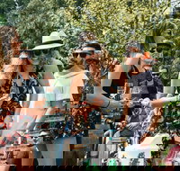 Bellarine Taster Gin Cider Wine and Lunch tour - Tourism Search