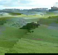 Day Tour of Phillip Island  Surrounding Region - Tourism Search