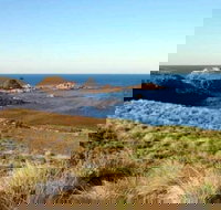 Phillip Island Walking  Bird Watching Tour - Tourism Search