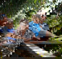 Phillip Island 3 Park Pass Penguin Parade Koala Conservation Centre and Penguin Parade Koala ConservationHeritage Farm - Tourism Search