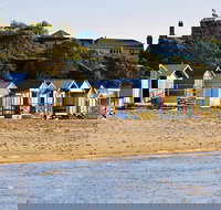 1 Day Mornington Peninsula Wine and Food Tour - Tourism Search