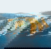 3-Hour Tasman Peninsula Wilderness Cruise from Port Arthur - Tourism Search