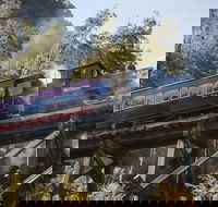 West Coast Wilderness Railway Queenstown Explorer from Strahan - Tourism Search