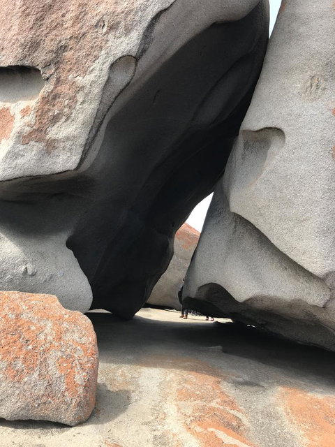 Kangaroo Island In A Day Tour From Adelaide - Tourism Search 7