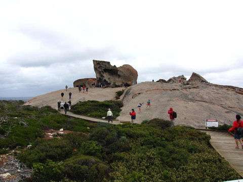 Kangaroo Island In A Day Tour From Adelaide - Tourism Search 21