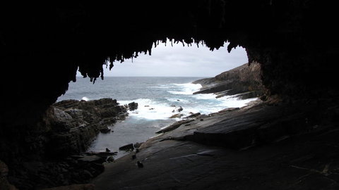 Kangaroo Island In A Day Tour From Adelaide - Tourism Search 20