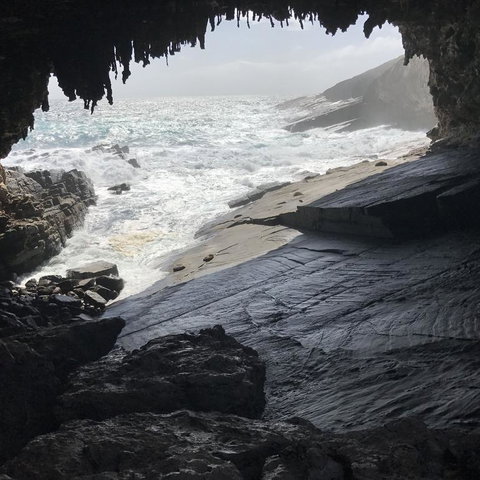 Kangaroo Island In A Day Tour From Adelaide - Tourism Search 5