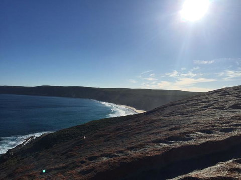 Kangaroo Island In A Day Tour From Adelaide - Tourism Search 17